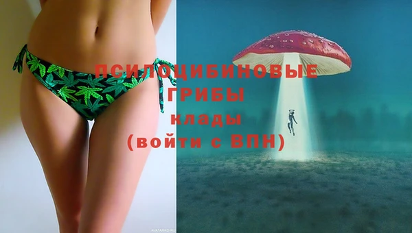 мяу мяу мука Алексеевка