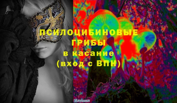 гидра Армянск