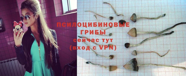 прущий лед Алзамай