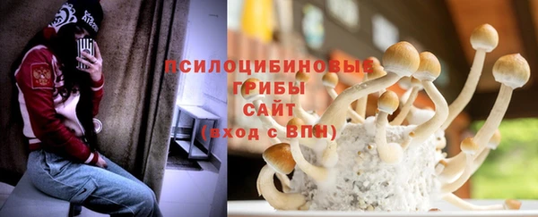 мяу мяу мука Алексеевка